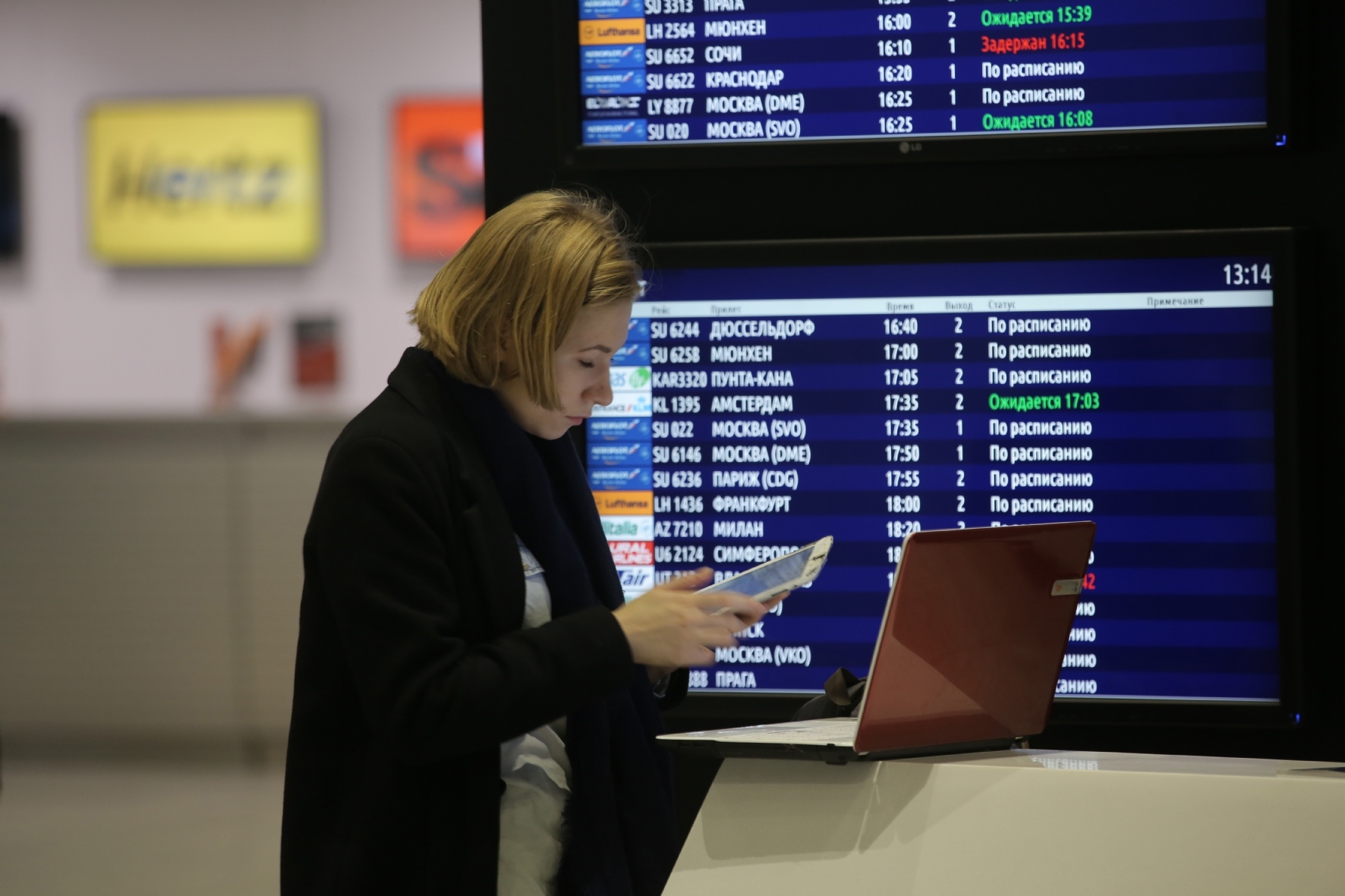 Фото: Выдревич Илья/PhotoXPress.ru