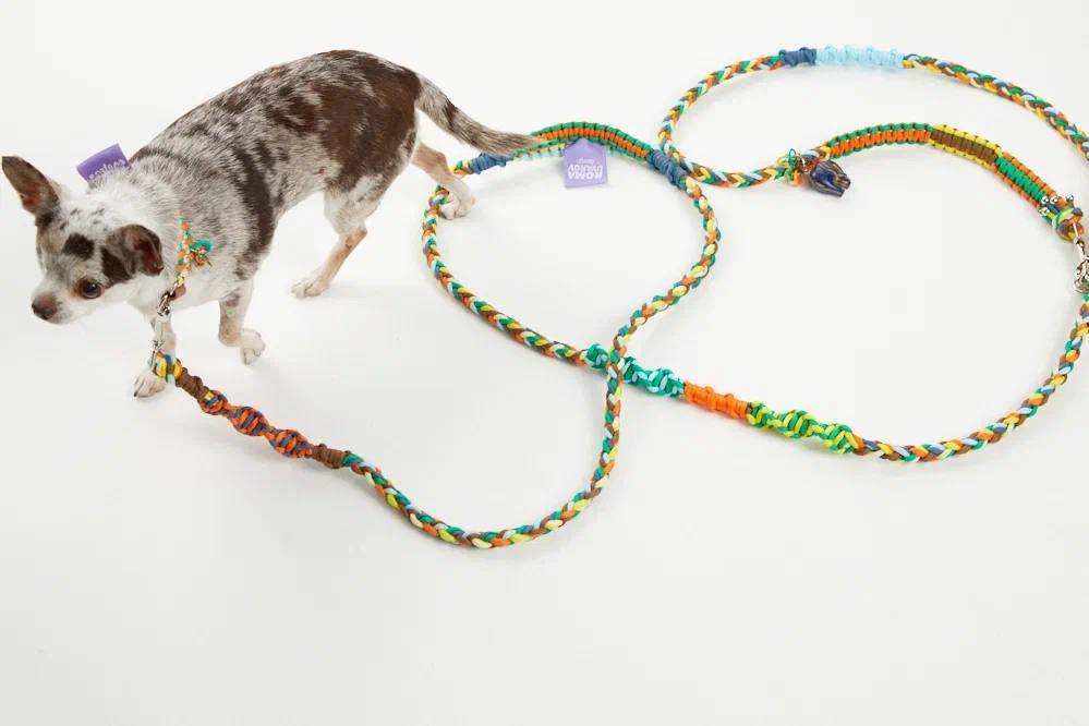 Поводок из паракордовой стропы с дополнительной ручкой по середине, капсульная коллекция Pet Subject х RomaUvarovDesign