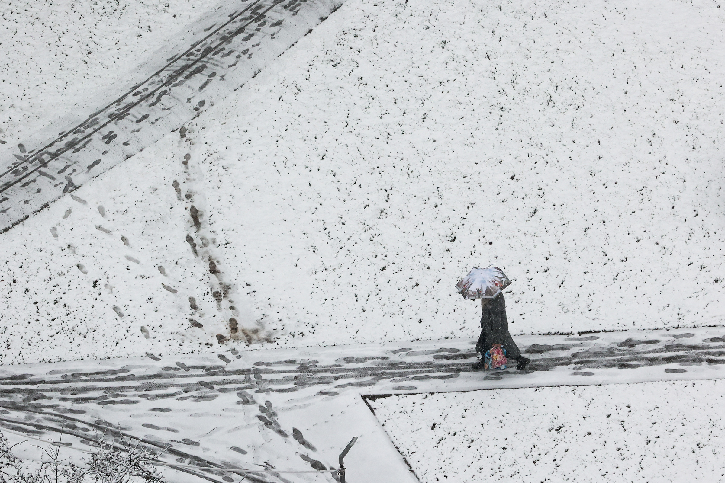Фото:Алена Бжахова / ТАСС