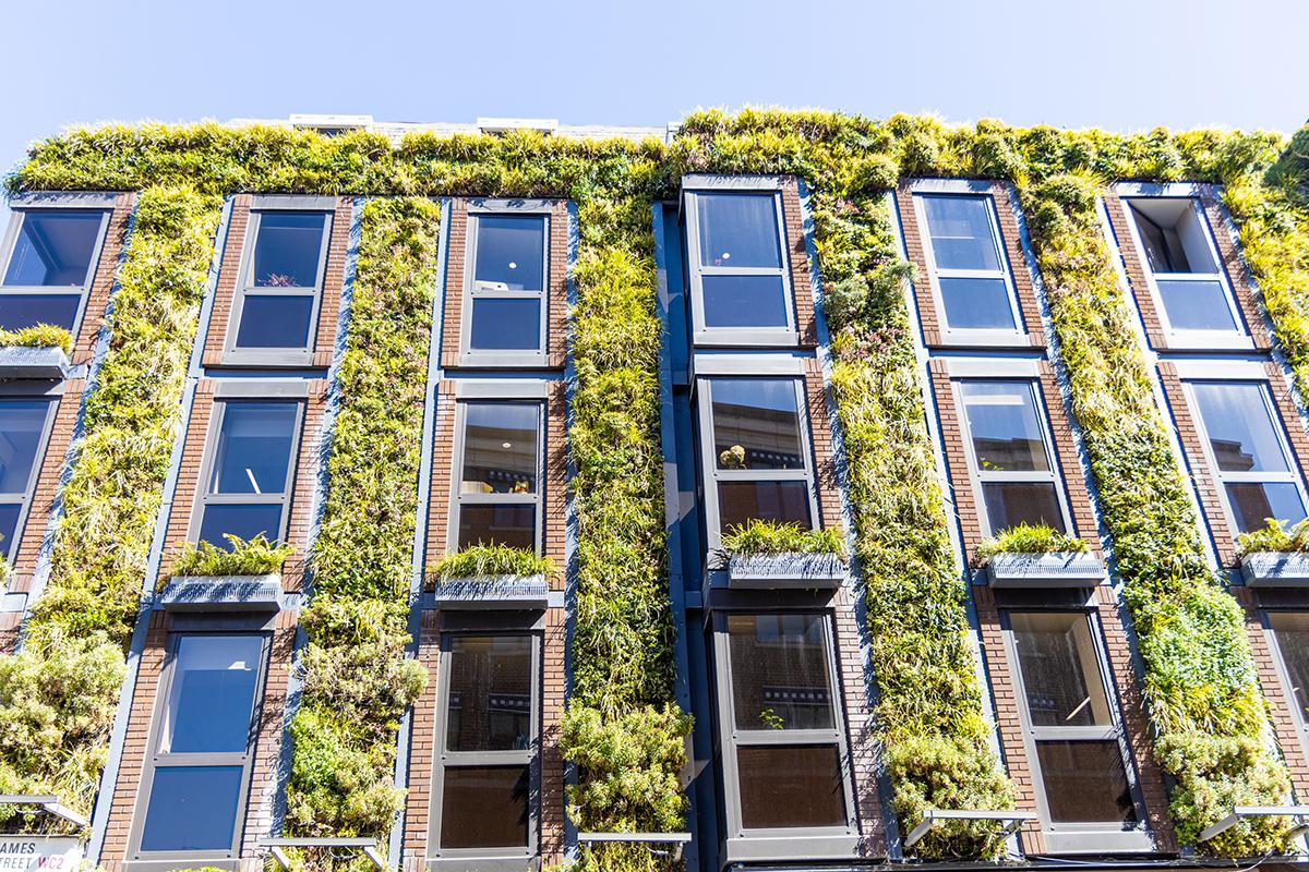 Фото: Wayne Marinovich / Shutterstock / FOTODOM