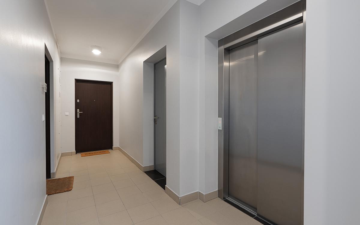 Фото: Dmitrij Galacewicz / Shutterstock / FOTODOM