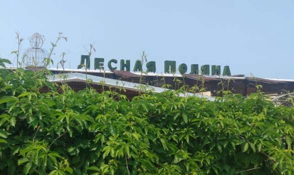 Фото: РБК Приморье