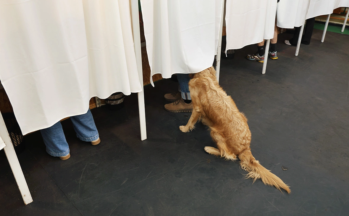 Sean Gallup / Getty Images