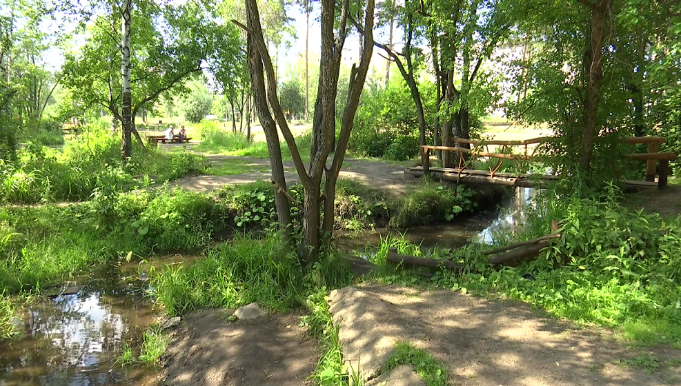 РБК Пермь