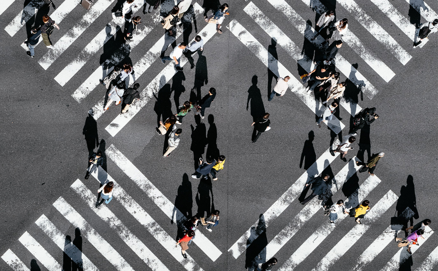 Фото: Unsplash