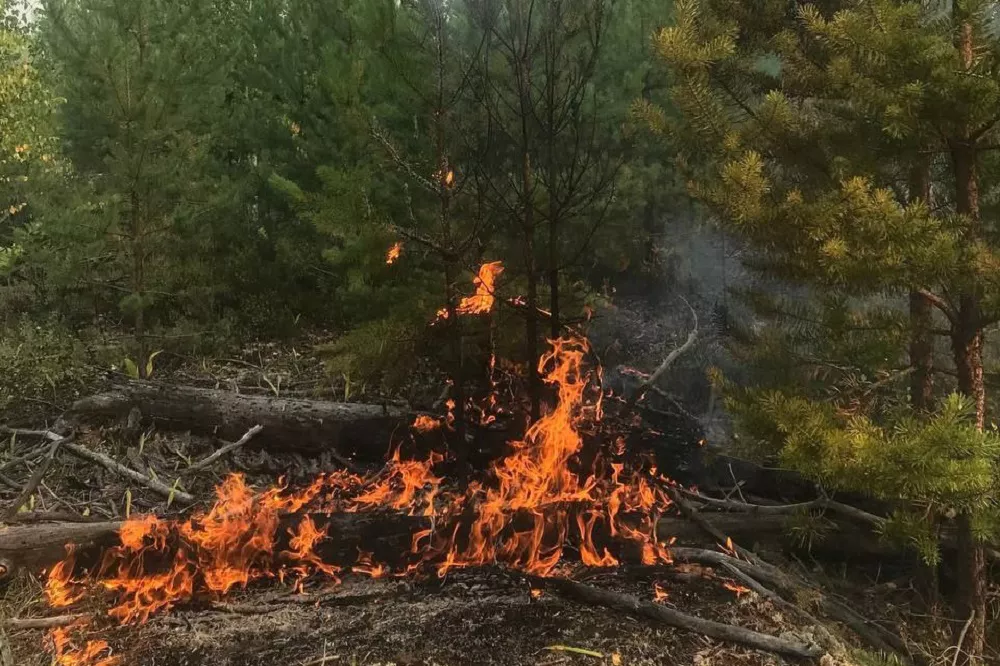 Минэкологии Марий Эл