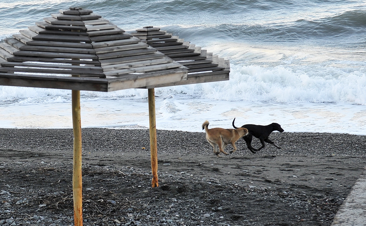 Владимир Песня / РИА Новости