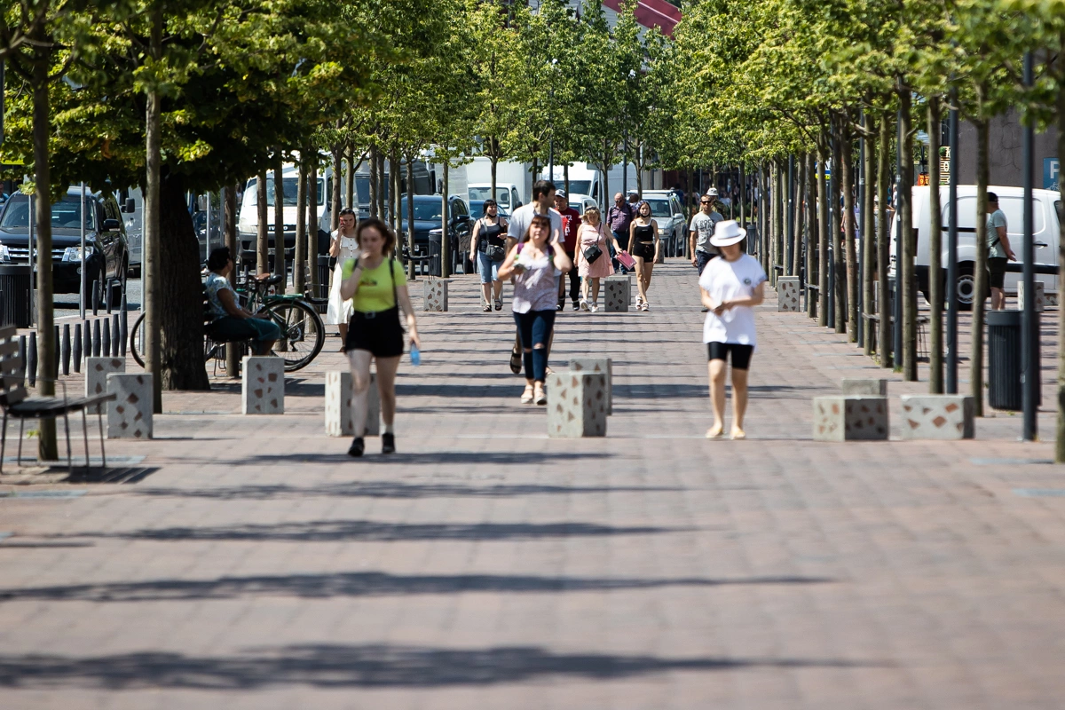 Александр Подгорчук