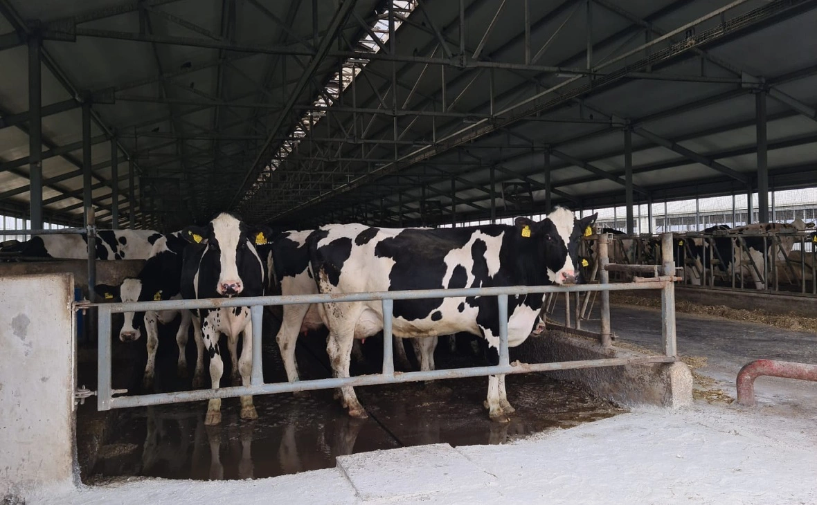 РБК Черноземье