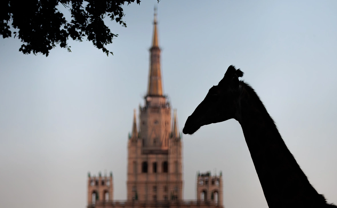 Эдгар Брещанов / Global Look Press