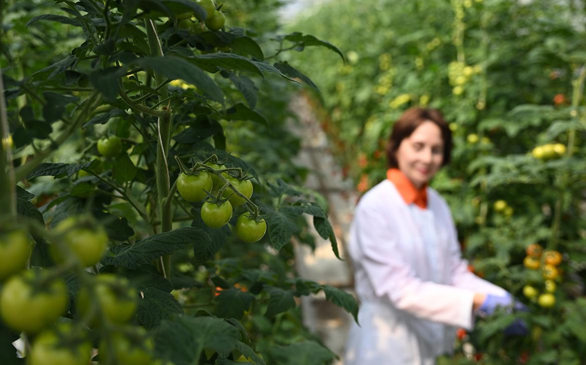 Правительство определило, кто получит льготу по страховым взносам