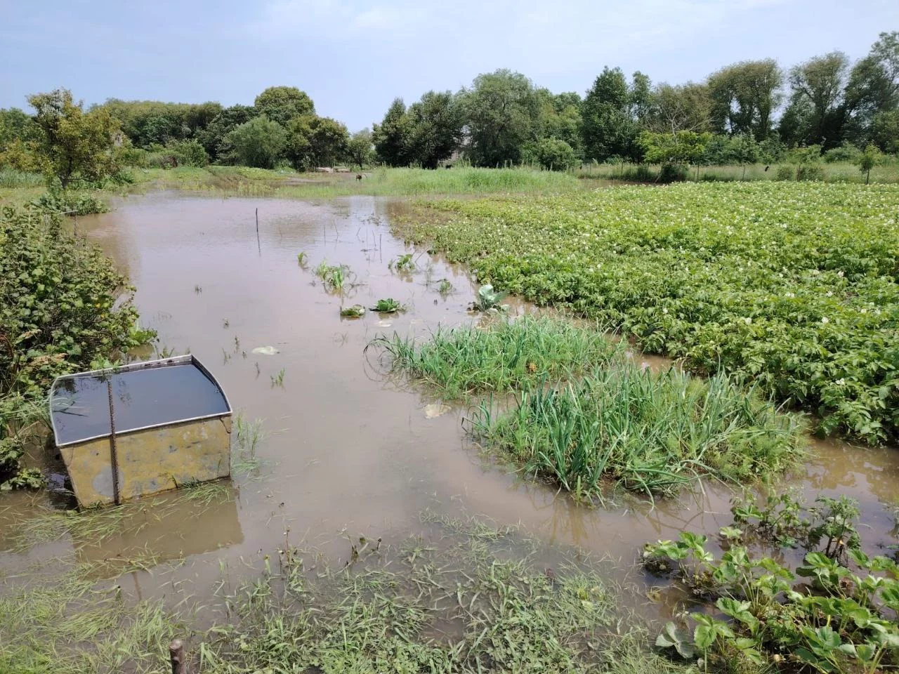 пресс-служба правительства Приморского края
