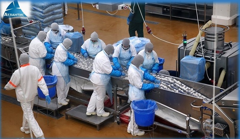 Фото: страница ГК "Атлантис" "Вконтакте"