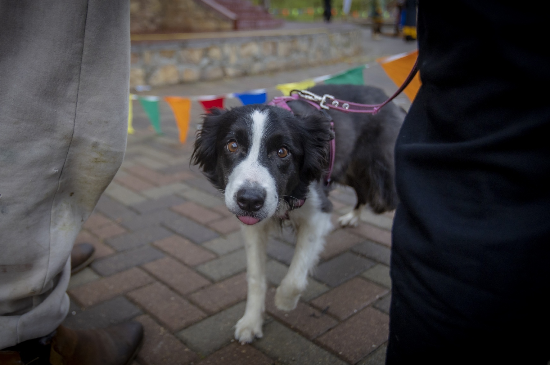 Фото: Мещерякова Екатерина / PhotoXPress.ru