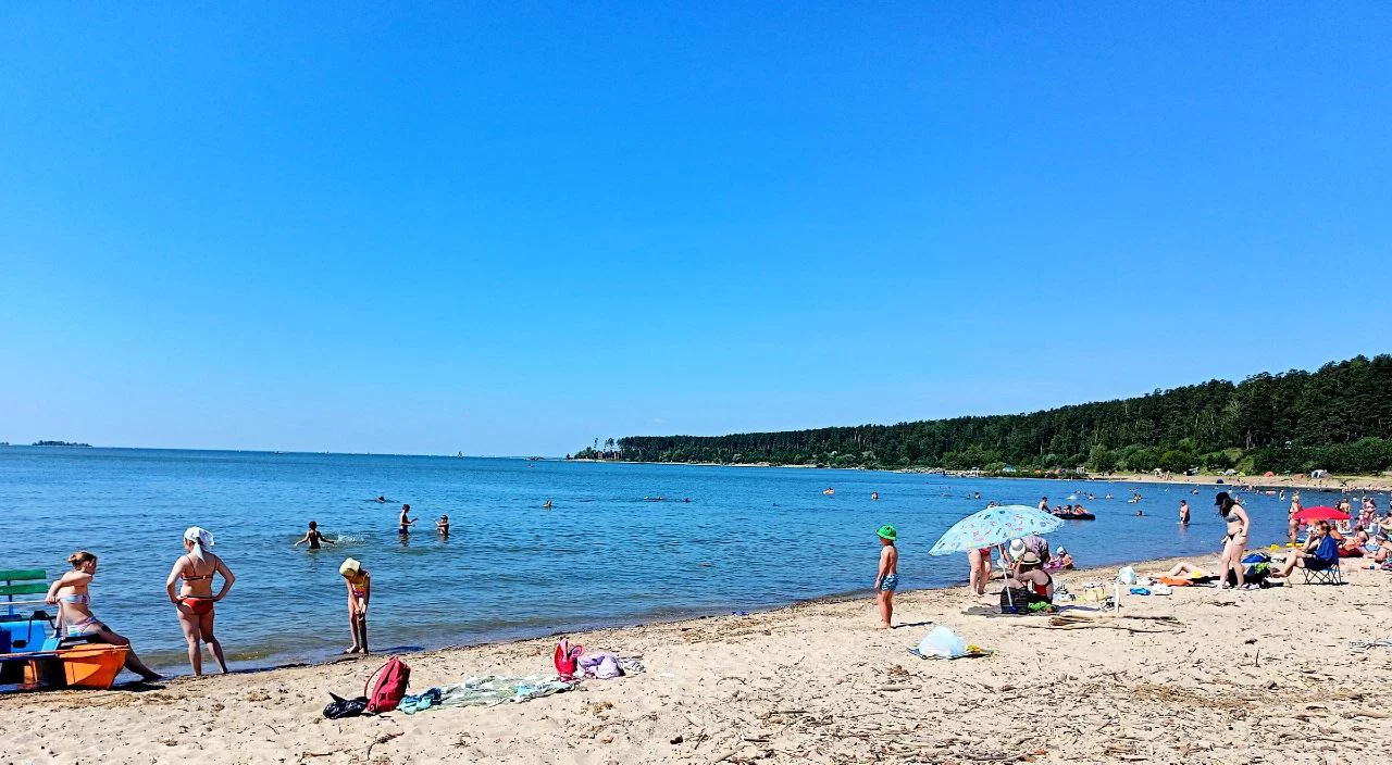 Алексей Коваленок / РБК Новосибирск