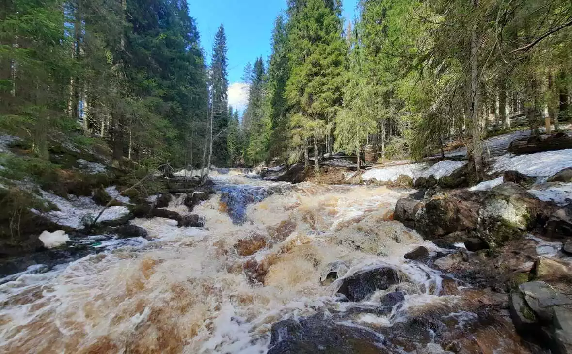 РБК Карелия