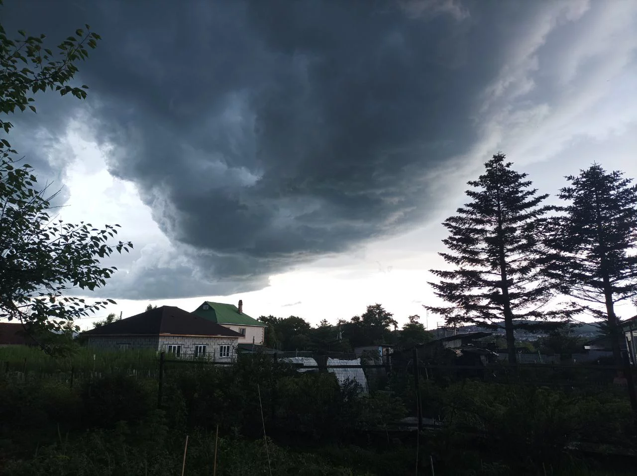 РБК Приморье