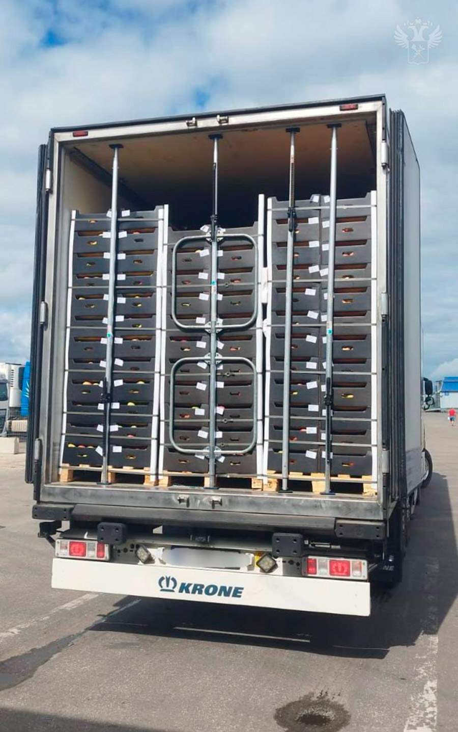 Фото: ФТС России