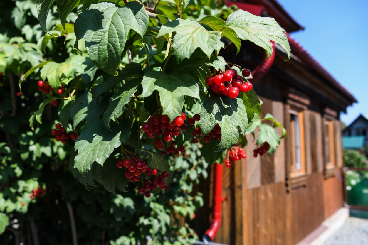 Фото: Владимир Жабриков / РИА URA.RU