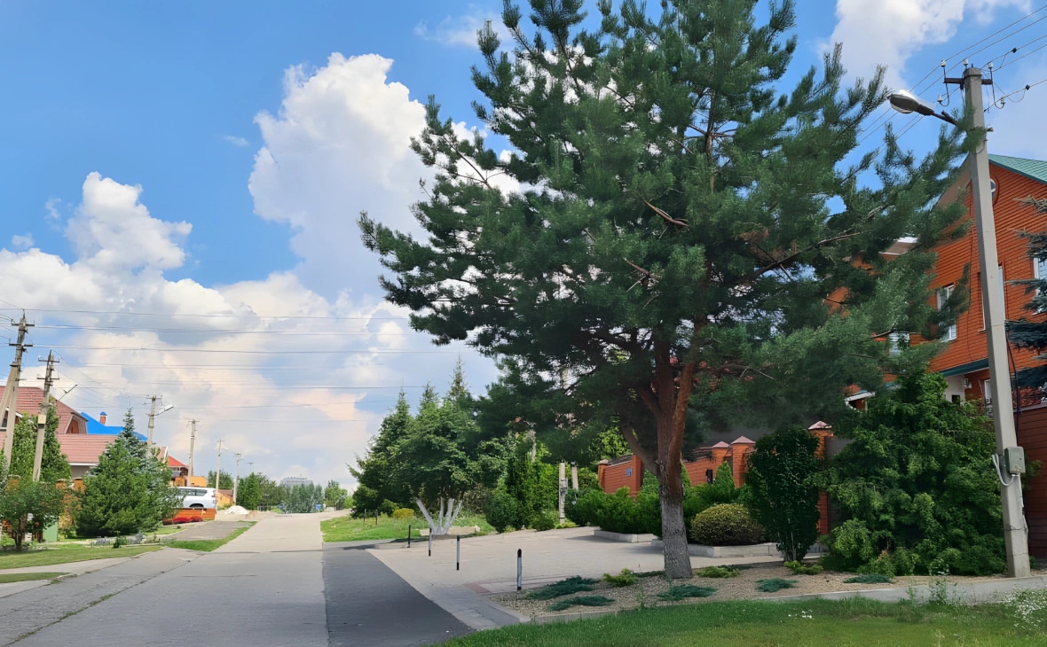 РБК Черноземье