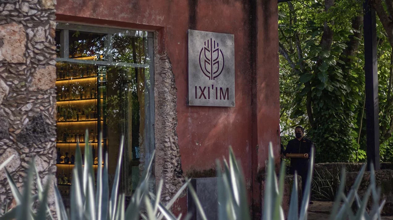 Что подают в ресторане с одной из крупнейших в мире коллекций текилы