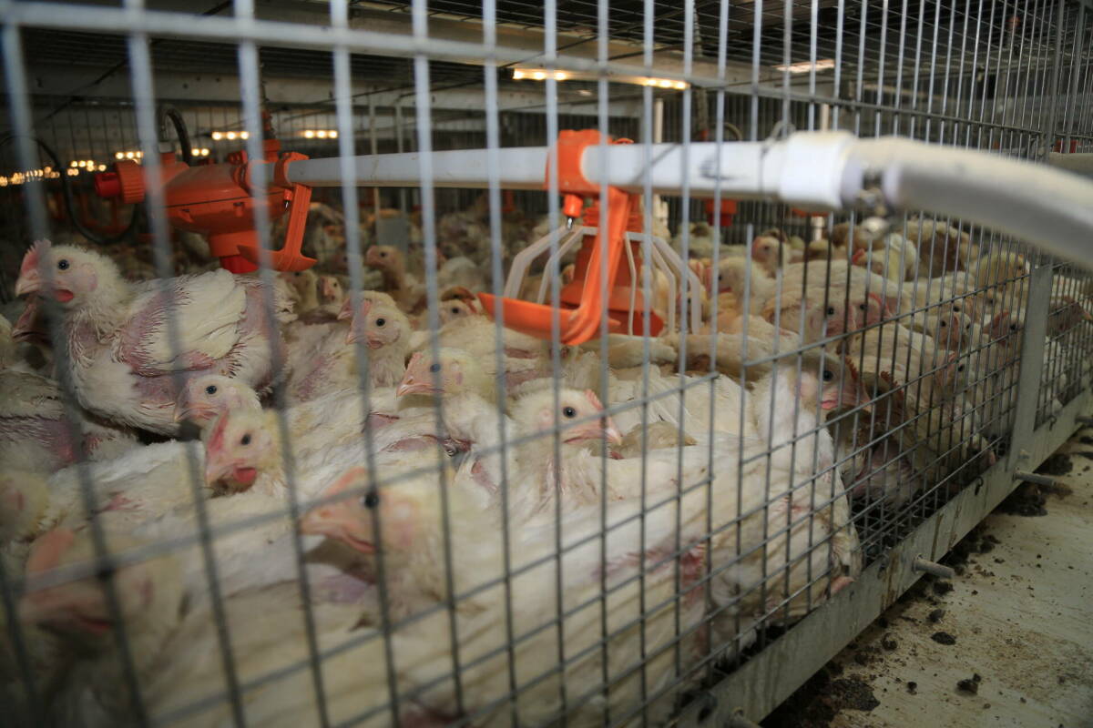 Фото: ИА «Татар-информ»