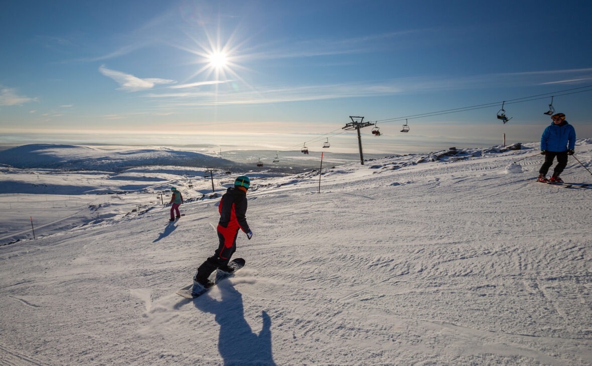 Фото: bigwood.ru 