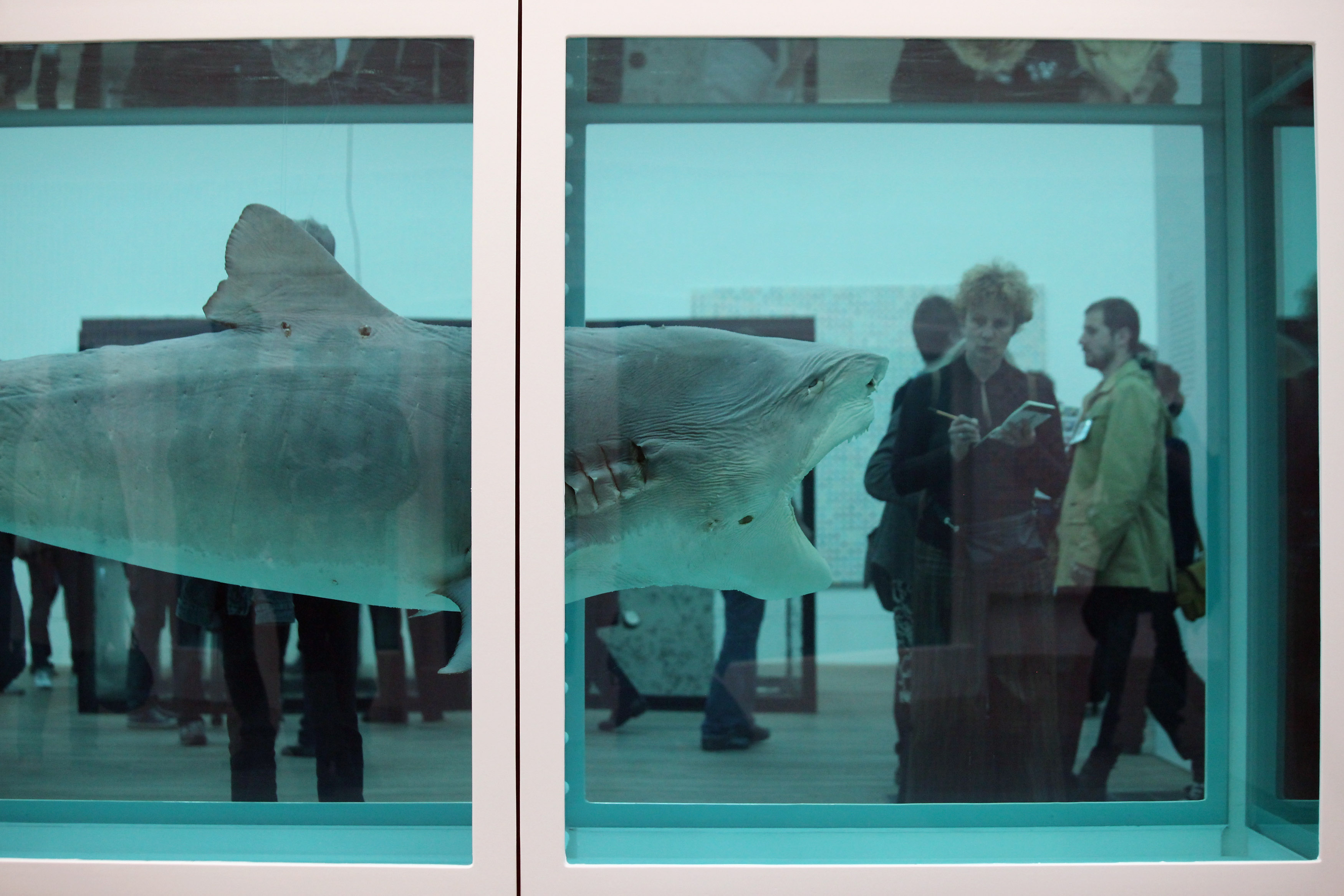 Выставка Дэмьена Хёрста&nbsp;&laquo;Физическая невозможность смерти в сознании живущего&raquo;&nbsp;в Tate Modern, 2012
