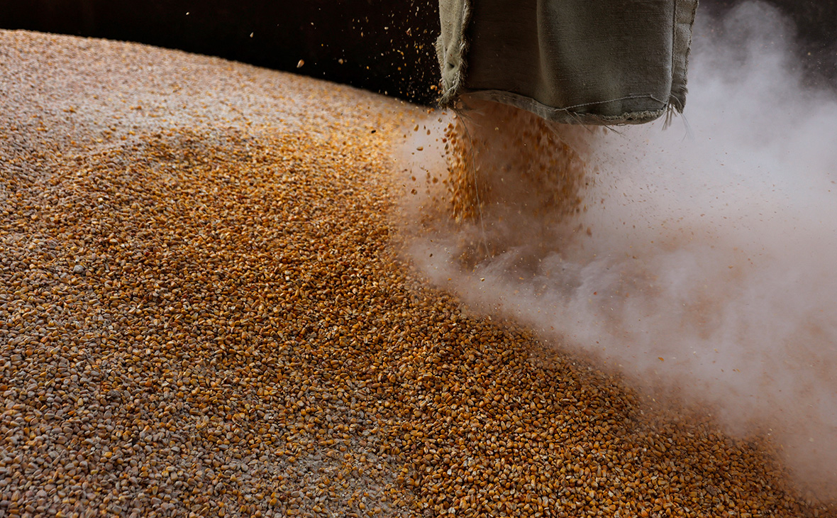 Боррель призвал договориться с Россией о вывозе 20 млн т зерна с Украины