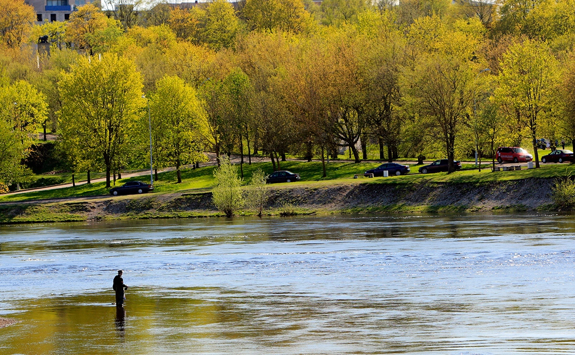 Алексей Даничев / РИА Новости