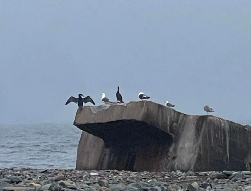 РБК Приморье