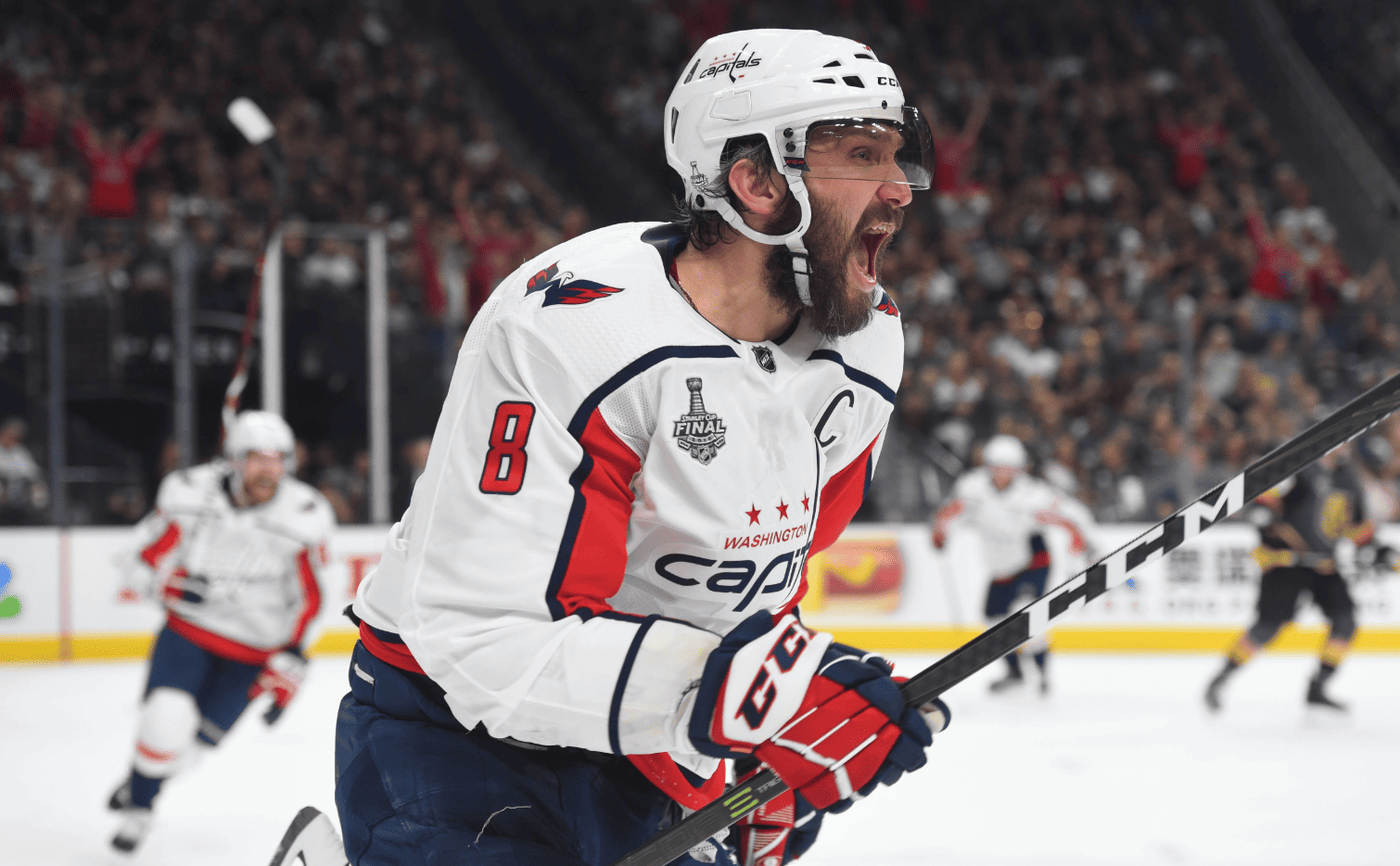 Chris Williams/Icon Sportswire / Global look press