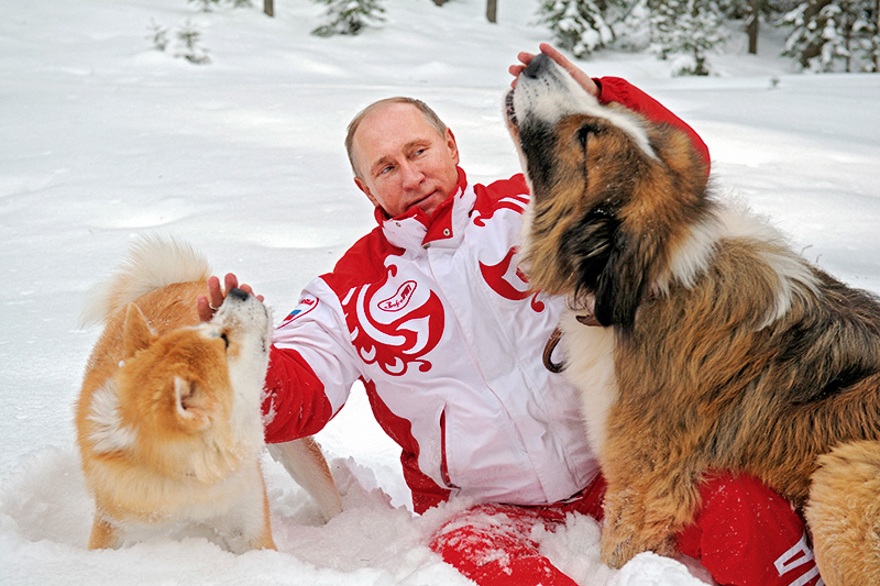 Фото: Алексей Дружинин/РИА Новости