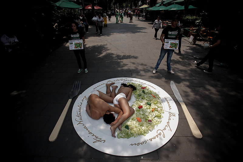 Акция &laquo;Всемирный день без мяса&raquo; в Мехико
&nbsp;