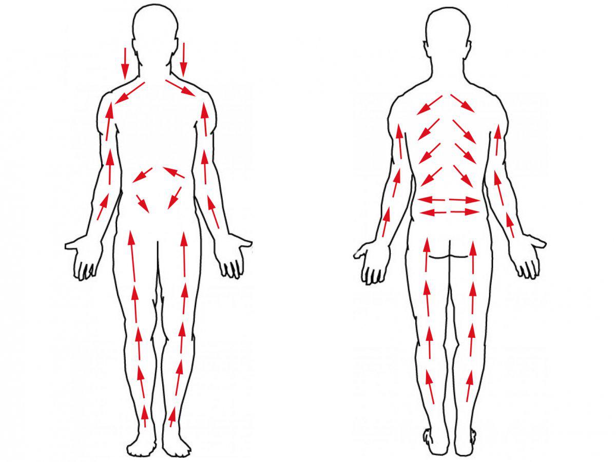 Направление тока лимфы в теле человека схема