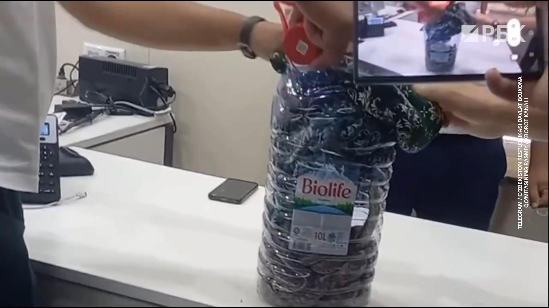 Таможенники в Узбекистане пресекли вывоз 15 восточных удавчиков