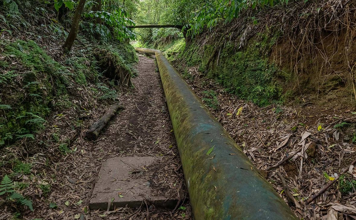 Heike Feiner / IMAGO / ТАСС