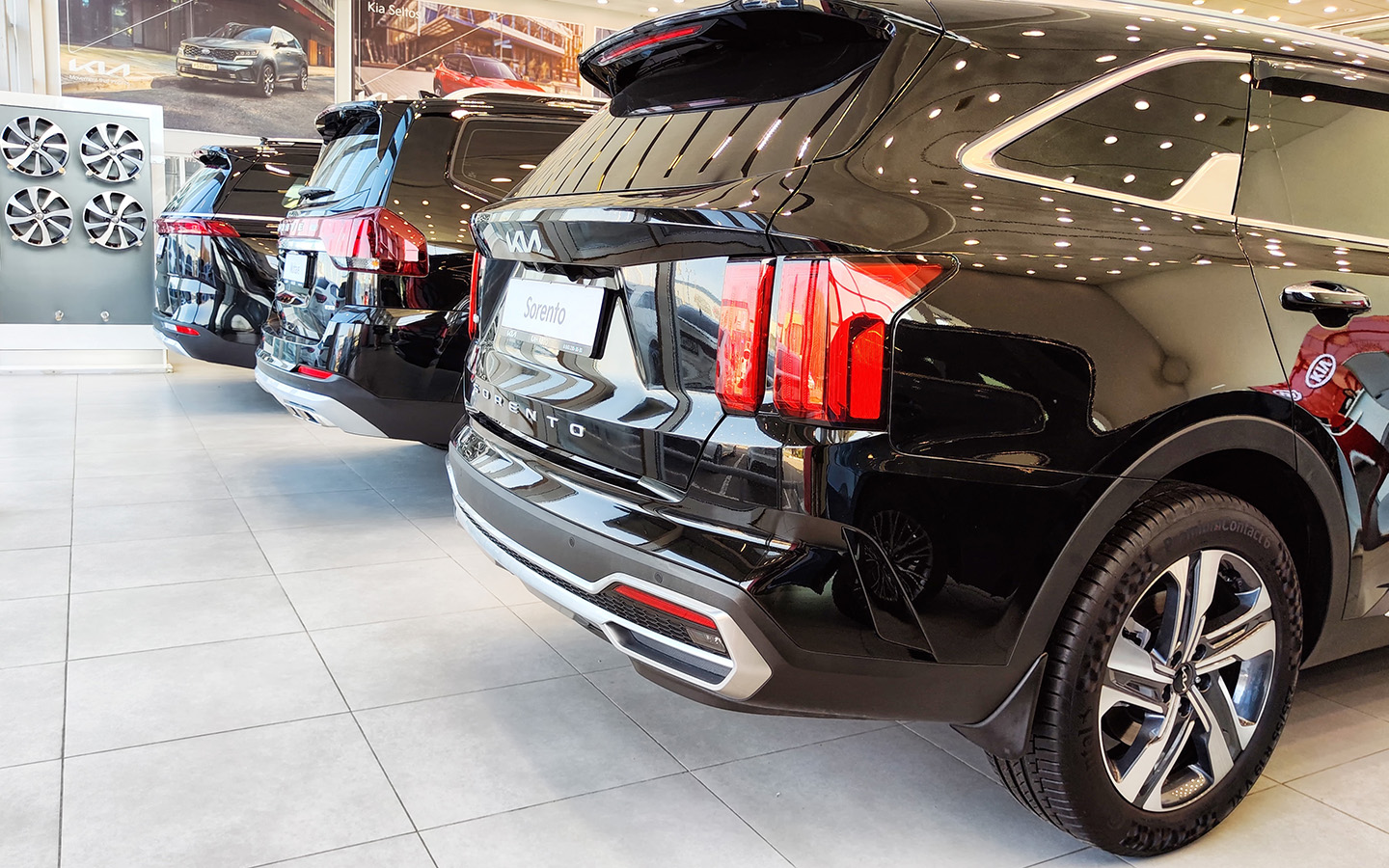 Фото: KELENY / Shutterstock / FOTODOM