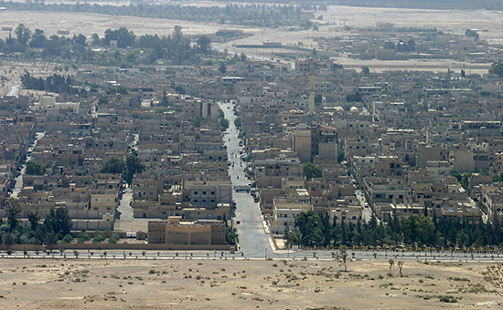 Общий вид города Пальмира. Архивное фото