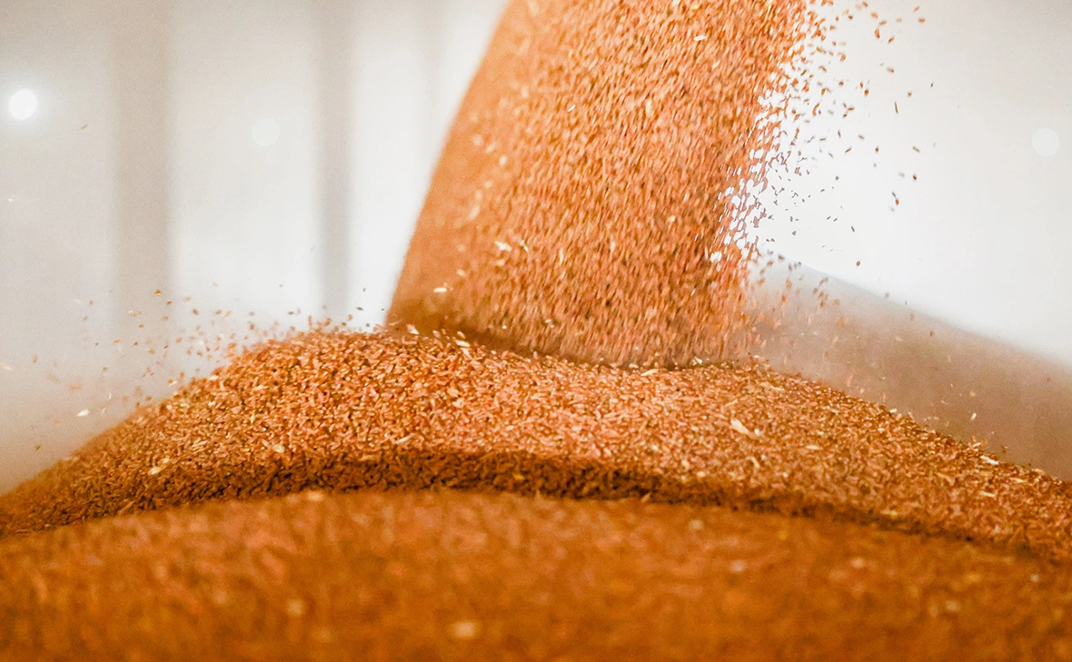 Алексей Коновалов / ТАСС