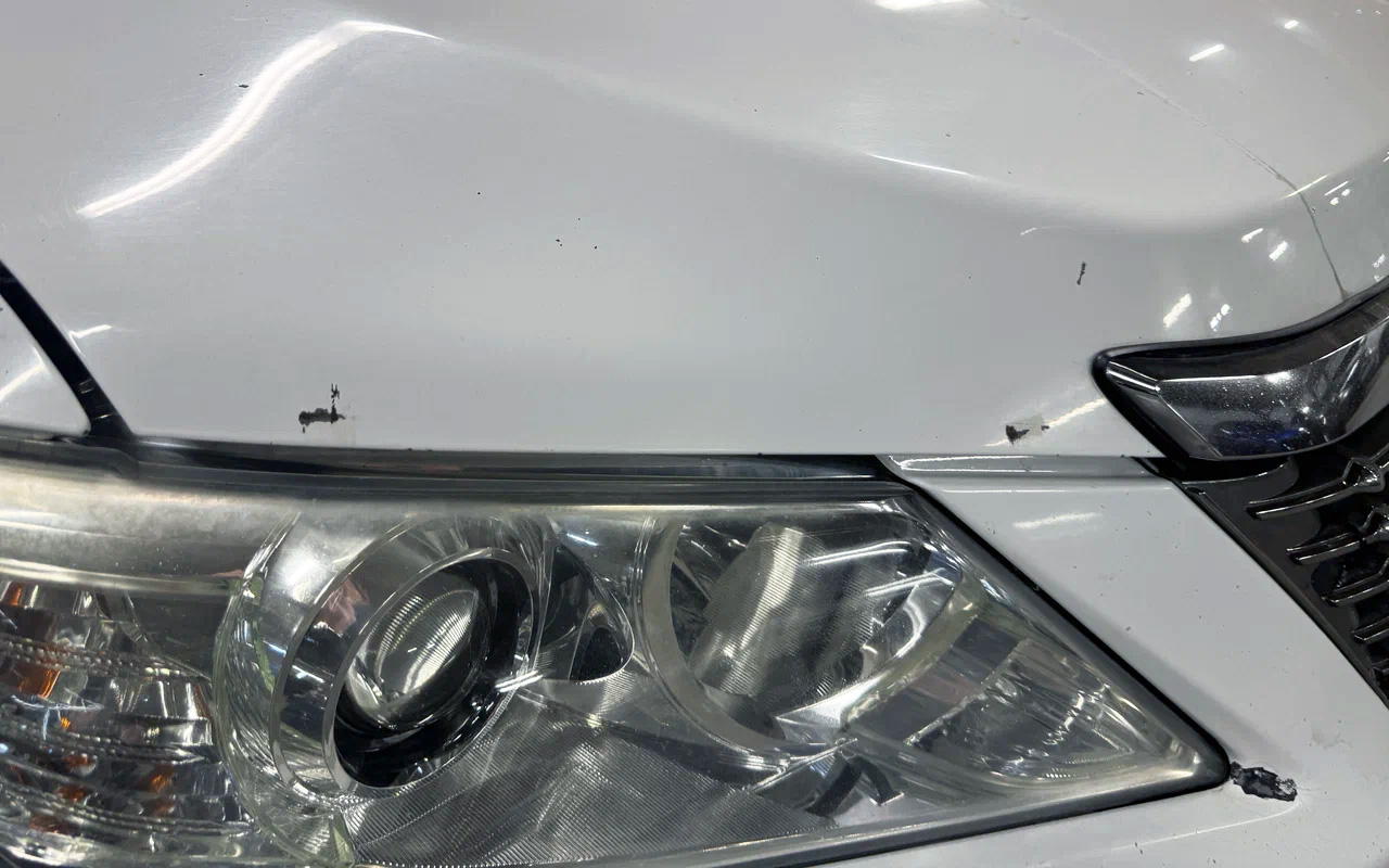 Фото: Autonews