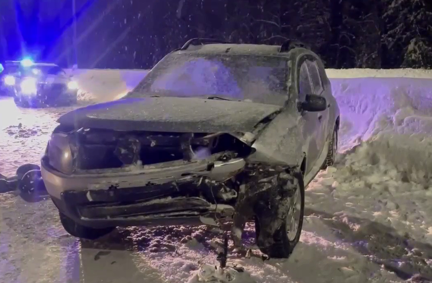 Фото: Госавтоинспекция Пермского края