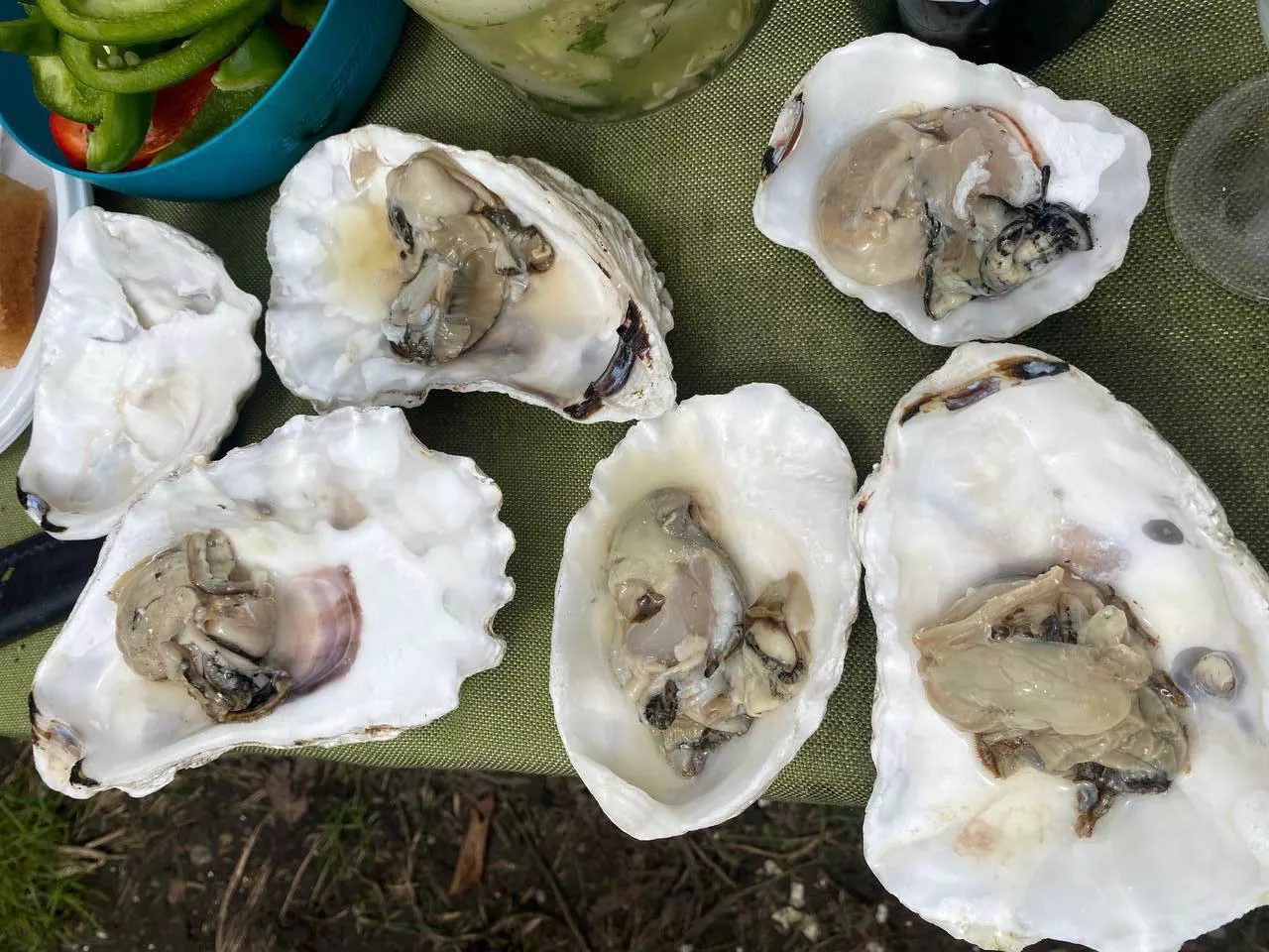 РБК Приморье