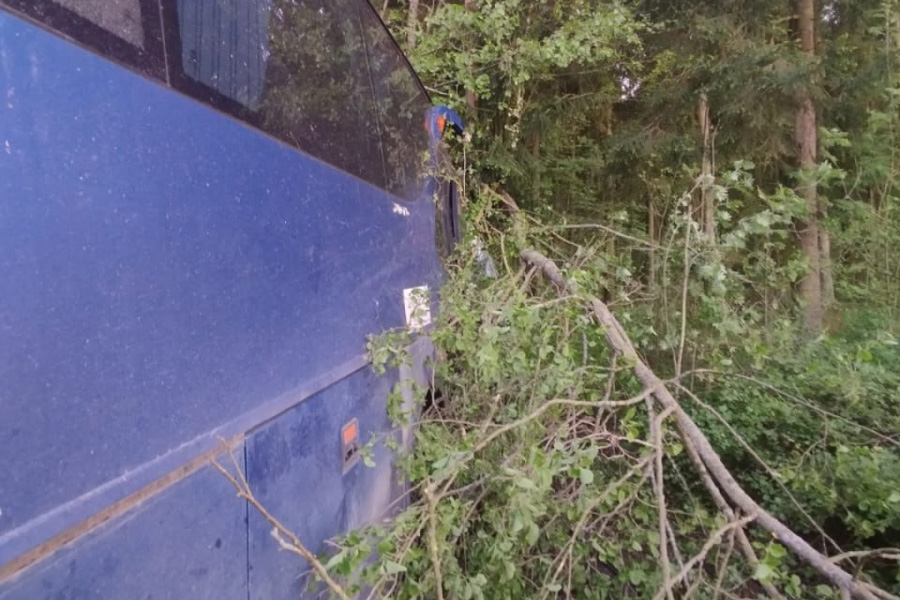 Фото: ГУ МВД России по г. Санкт-Петербургу и Ленинградской области