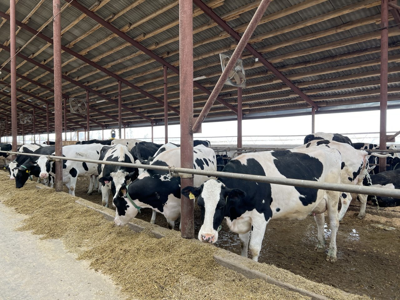 Фото: РБК Татарстан