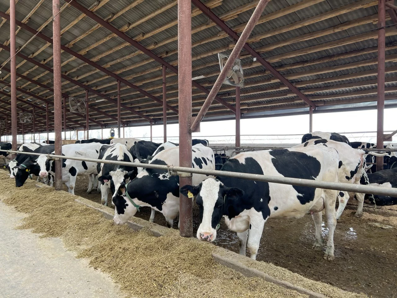 РБК Татарстан