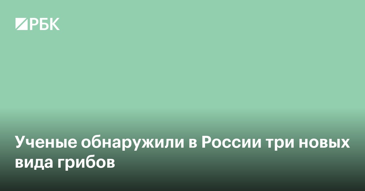 Ученые обнаружили в России три новых вида грибов