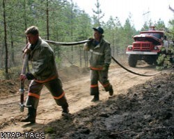 Рослесозащита: В Брянской области горят радиоактивные леса
