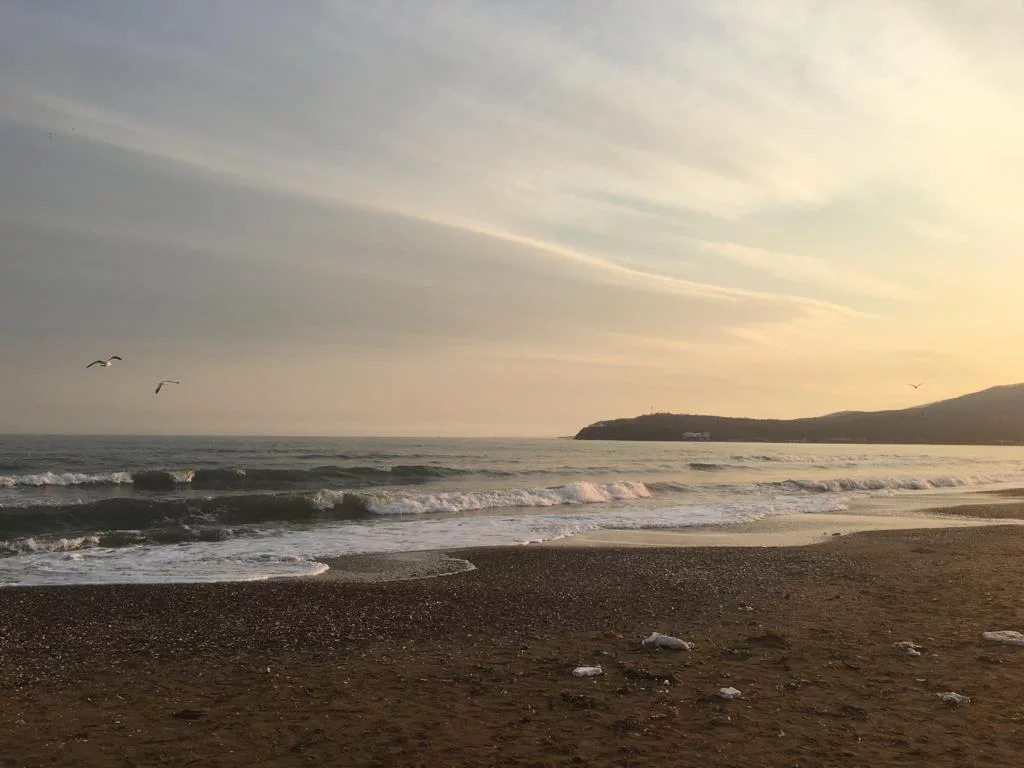 РБК Приморье