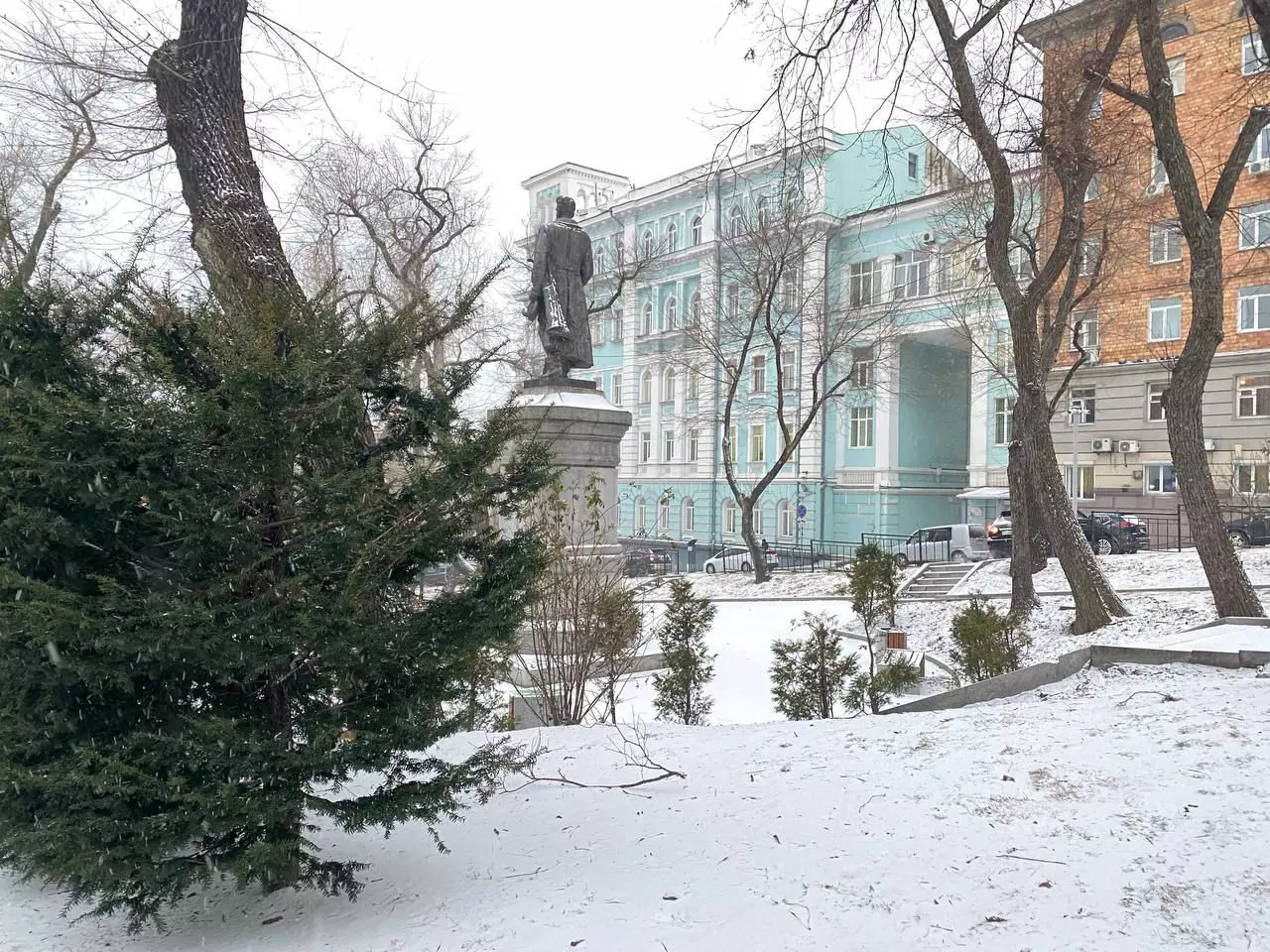 РБК Приморье